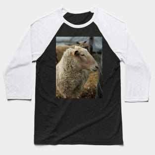 Curious Sheep with Bad Hair Day V1 Baseball T-Shirt